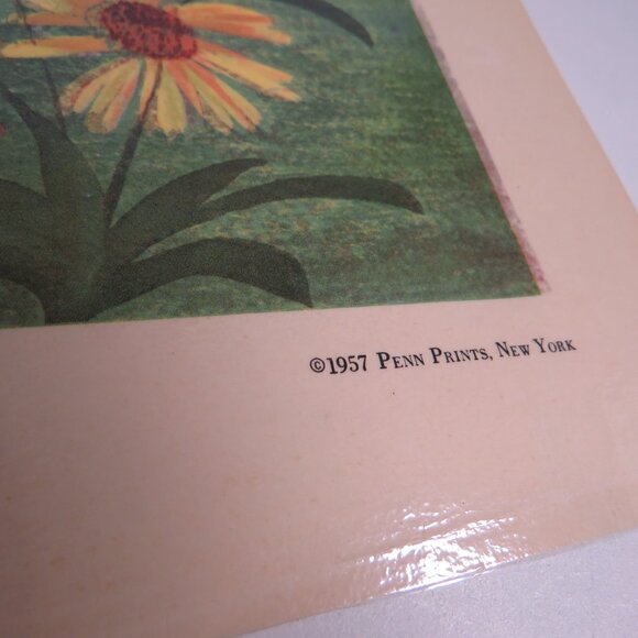 Vintage Nursery Rhyme 1957 pictures (5) LAMINATED 16.5” tall - Picture 12 of 14